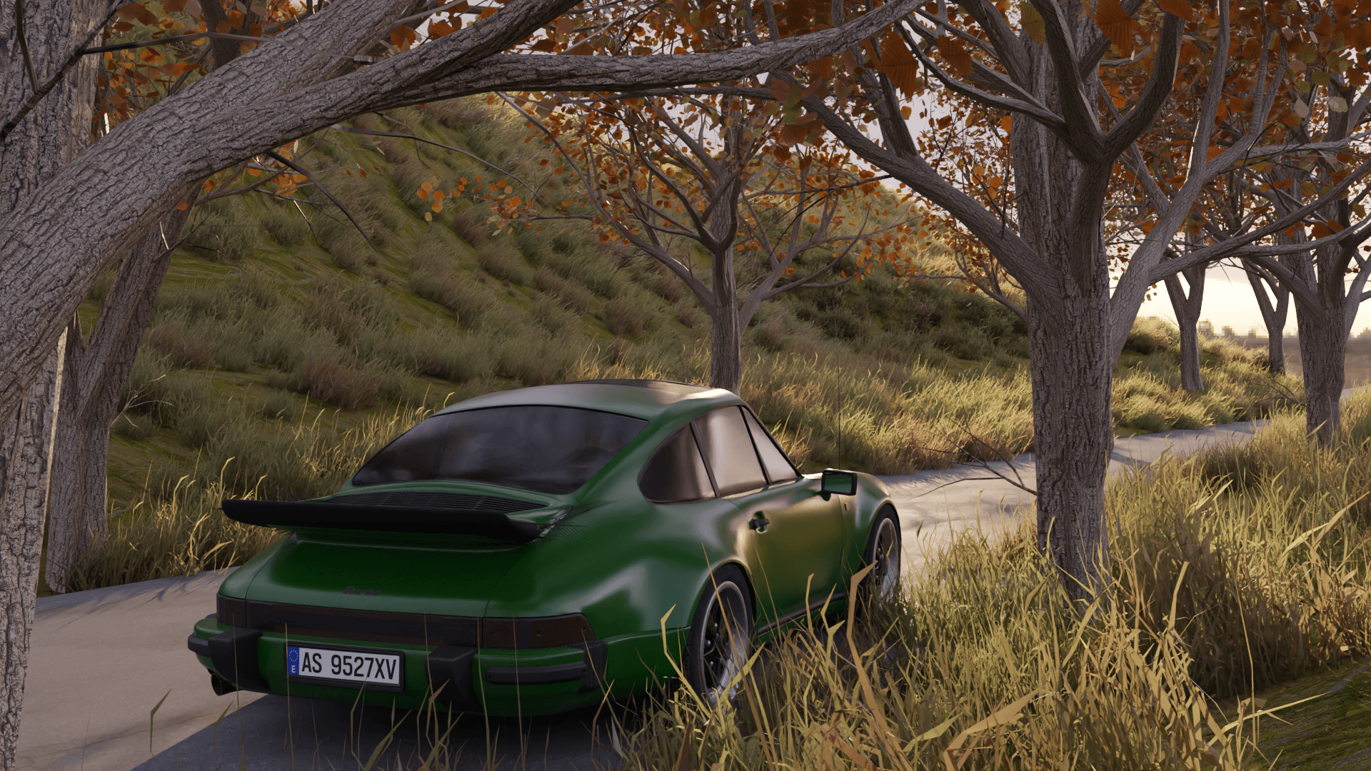 Porsche 911 — Autumn